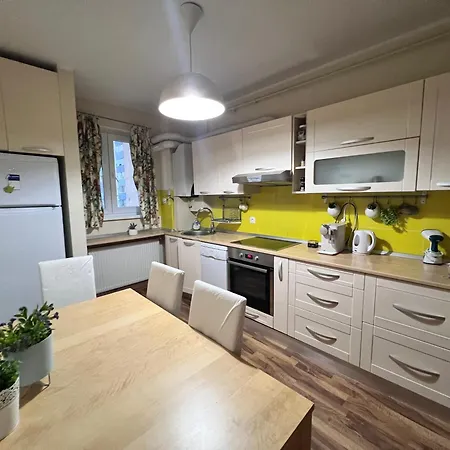 Apartment Boulevard Rose Alba Iulia
